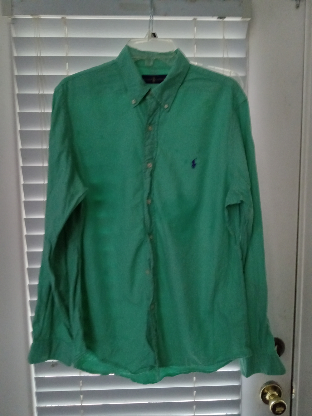 Ralph Lauren Men's Mint Green Button-Down Shirt